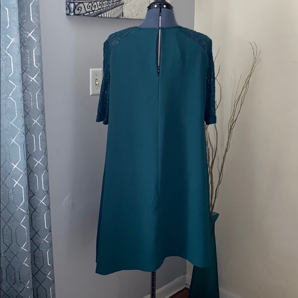 Lace Sleeve Flow Dress - Picture 3 of 5